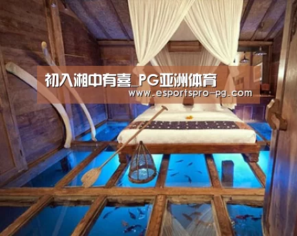 PG电竞APP